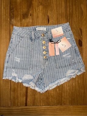 NWT Happily Grey Striped Distressed Denim Button Fly Shorts